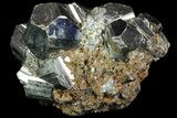 Gleaming Pyrite Crystal Cluster - Peru #72586-1